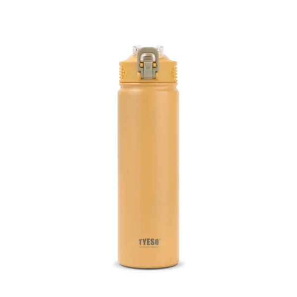 Wander LockSeal Stainless Steel Sports Bottle With Straw 750 Ml TS-8771C