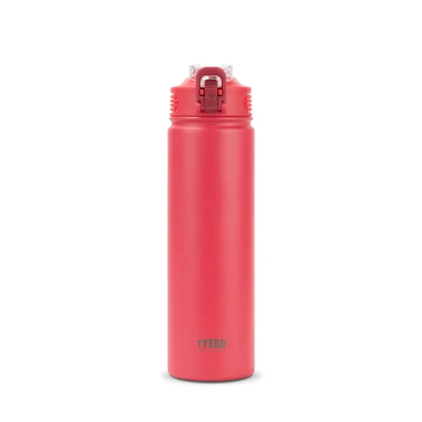Wander LockSeal Stainless Steel Sports Bottle With Straw 750 Ml TS-8771C